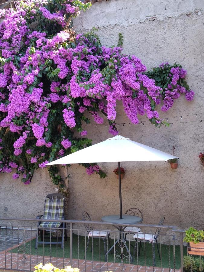 Il Giardino Di Laura Apartment Toscolano Maderno Exterior photo